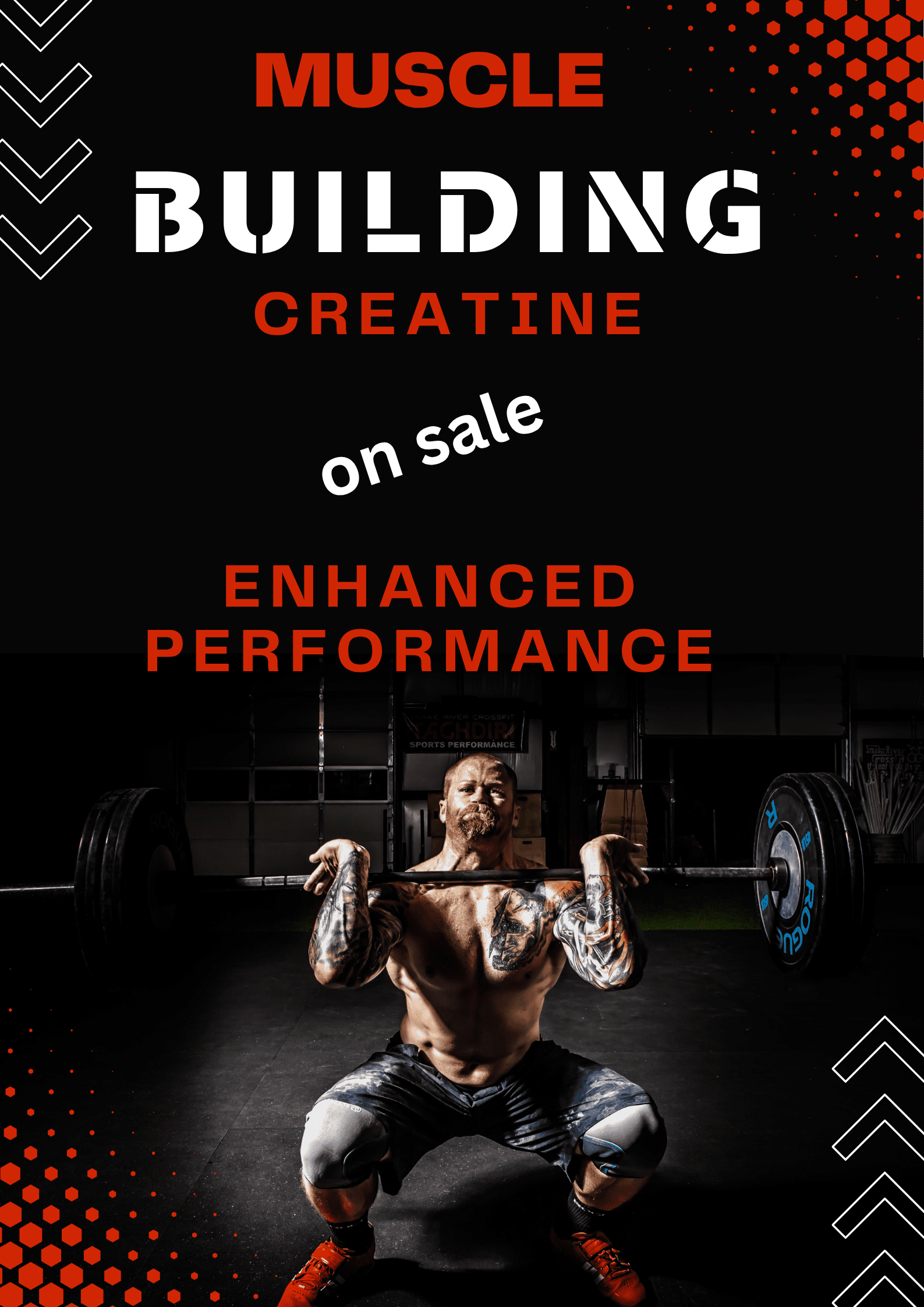 muscle building creatine